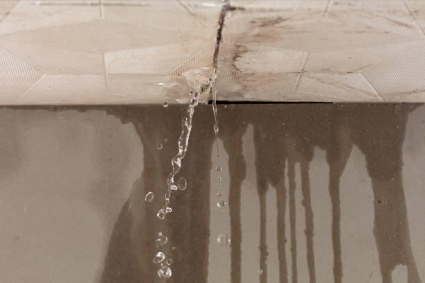 Professional Flood Damage Cleanup technician working in Waldorf, MN